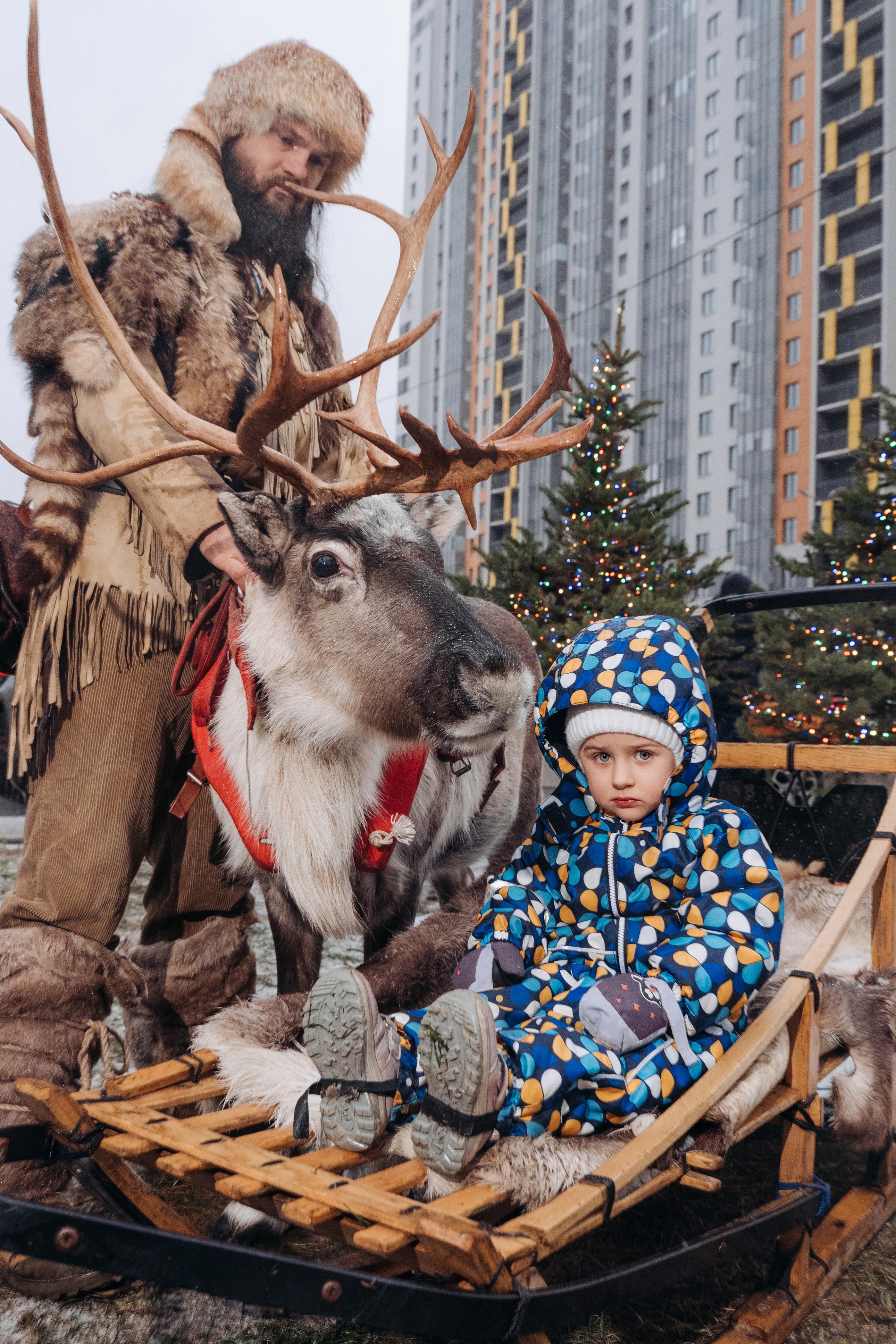 Sofia 27 12 25 @pavellitvinov00195