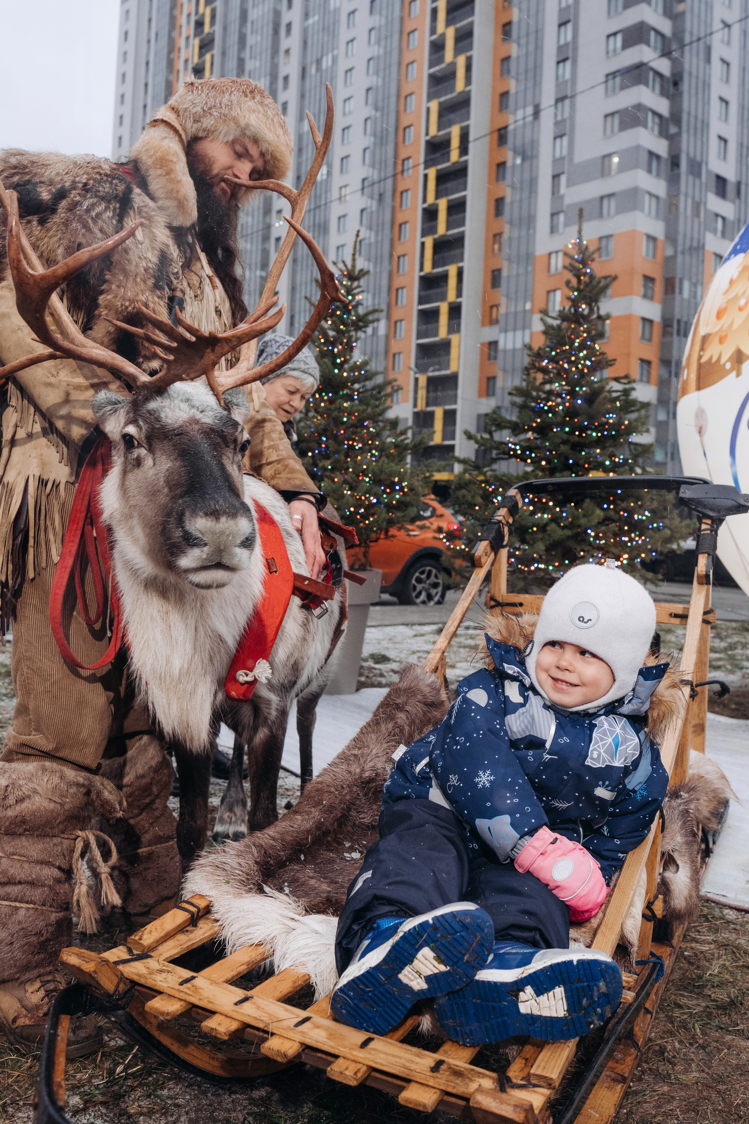 Sofia 27 12 25 @pavellitvinov00225